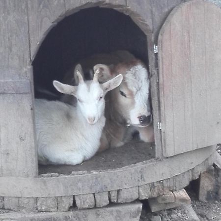 Grandola ed Uniti Agriturismo Barcola מראה חיצוני תמונה