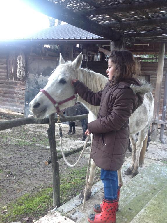 Grandola ed Uniti Agriturismo Barcola מראה חיצוני תמונה