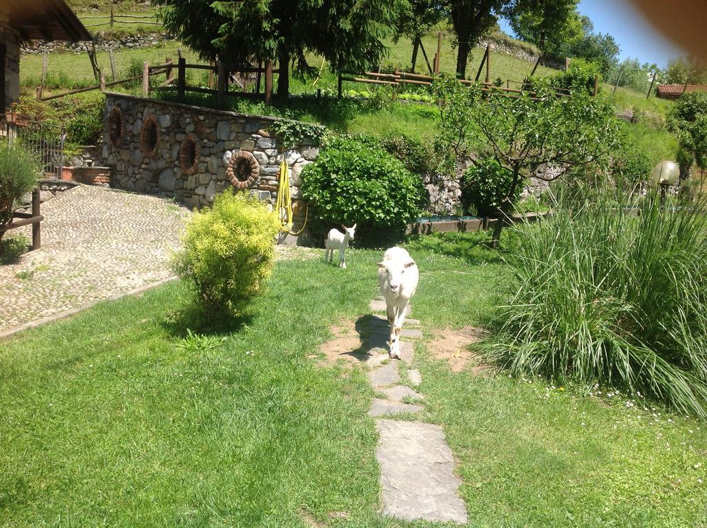Grandola ed Uniti Agriturismo Barcola מראה חיצוני תמונה