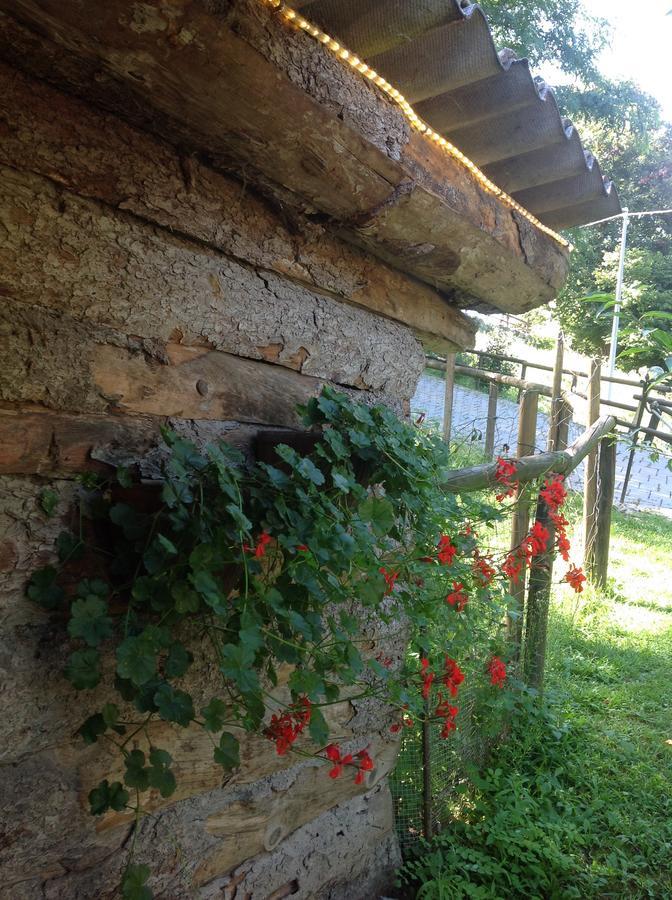 Grandola ed Uniti Agriturismo Barcola מראה חיצוני תמונה
